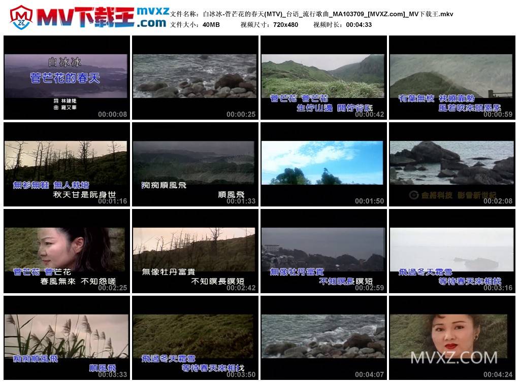 白冰冰-菅芒花的春天(MTV)_台语_流行歌曲_MA103709